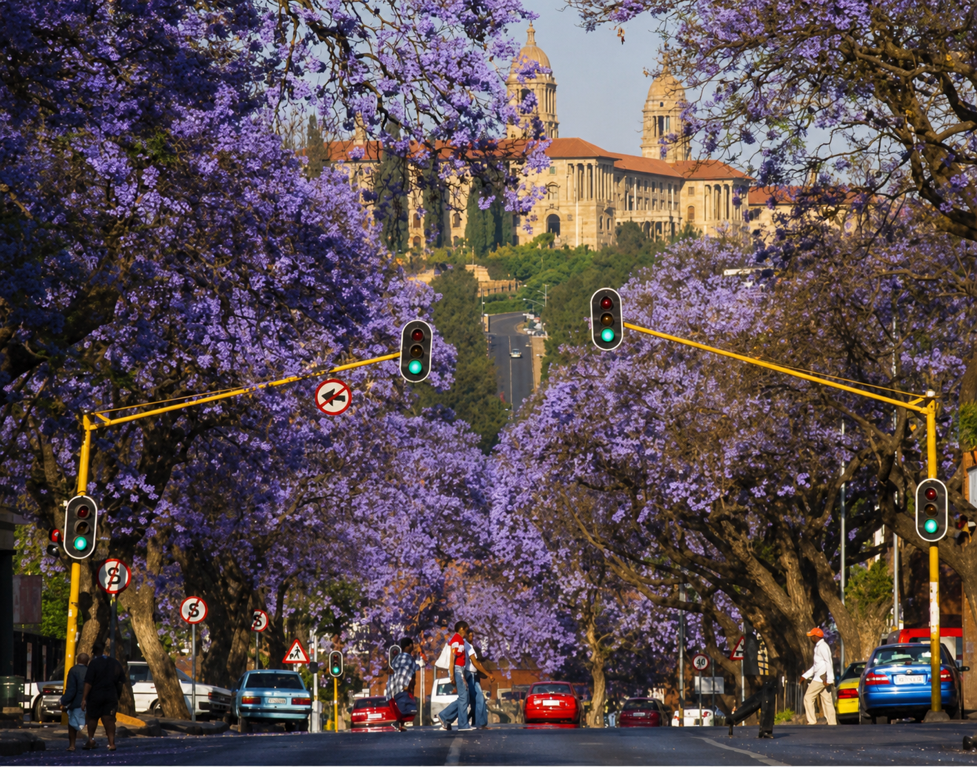 Expanded Image View